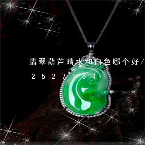 翡翠葫芦晴水和白色哪个好/2023112527161