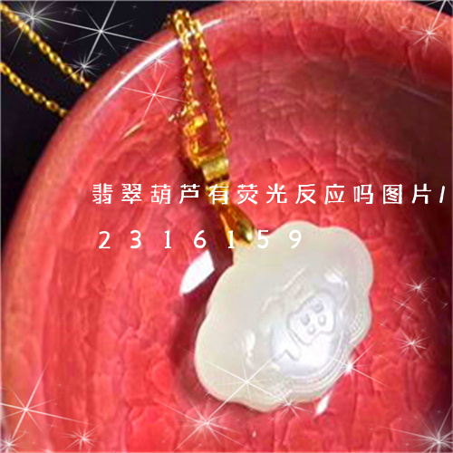 翡翠葫芦有荧光反应吗图片/2023072316159