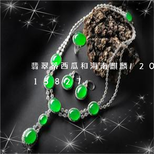 翡翠蒂西瓜和海南麒麟/2023112415827