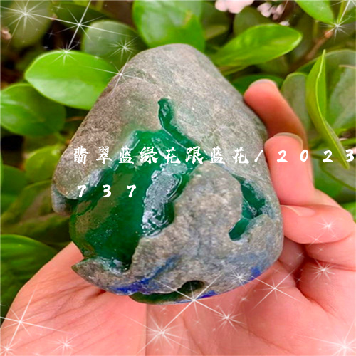 翡翠蓝绿花跟蓝花/2023040903737