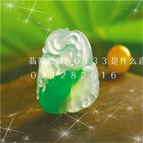 翡翠貔貅b0133是什么意思/2023071282616