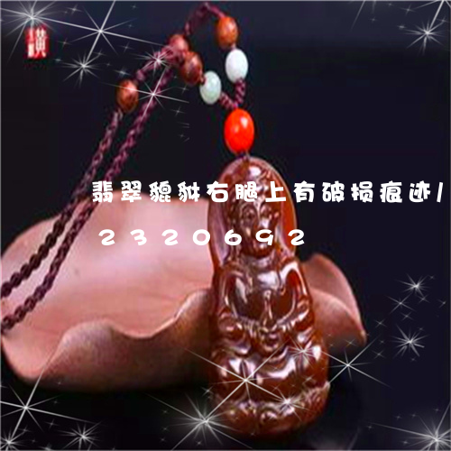 翡翠貔貅右腿上有破损痕迹/2023072320692