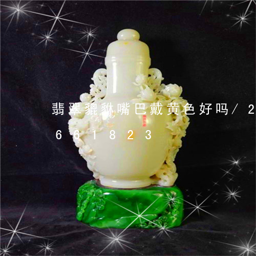 翡翠貔貅嘴巴戴黄色好吗/2023111661823