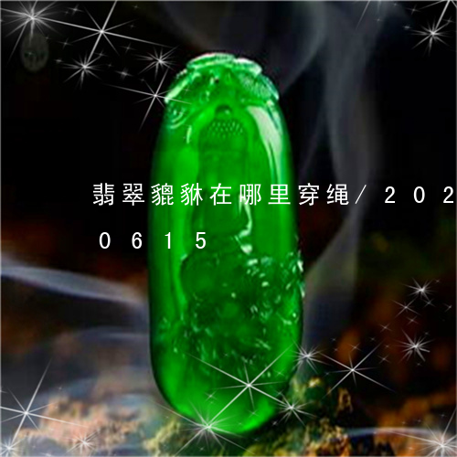 翡翠貔貅在哪里穿绳/2023120430615