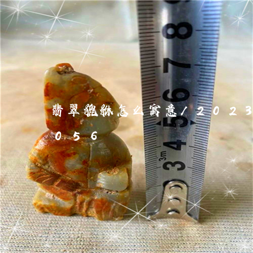 翡翠貔貅怎么寓意/2023032998056