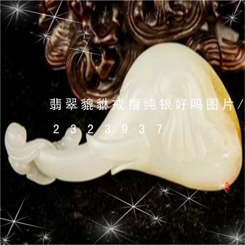 翡翠貔貅戒指纯银好吗图片/2023072323937