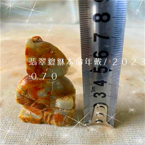 翡翠貔貅本命年戴/2023032919070