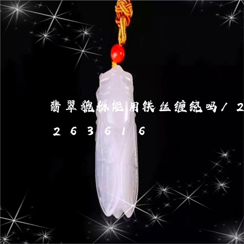 翡翠貔貅能用铁丝缠绕吗/2023110263616