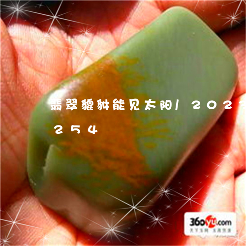 翡翠貔貅能见太阳/2023032927254