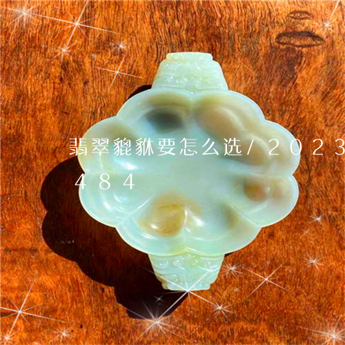 翡翠貔貅要怎么选/2023032959484