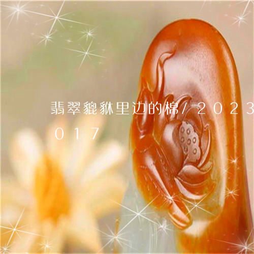 翡翠貔貅里边的棉/2023032928017