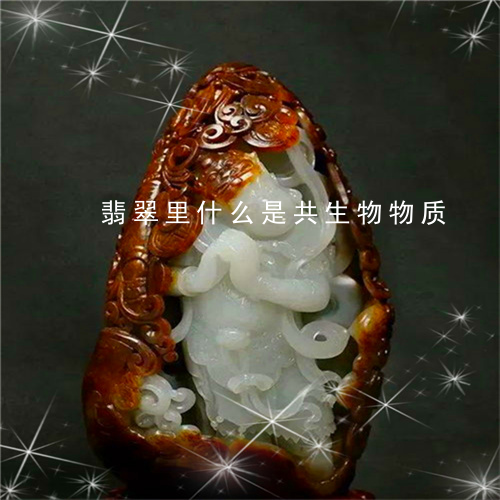 翡翠里什么是共生物物质