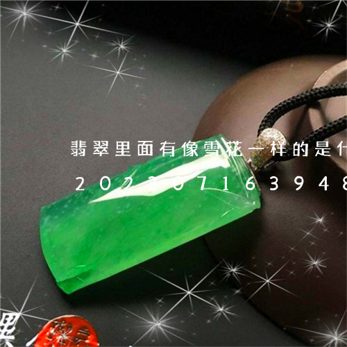 翡翠里面有像雪花一样的是什么情况手镯/2023071639481