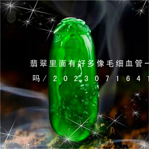 翡翠里面有好多像毛细血管一样的东西正常吗/2023071641704