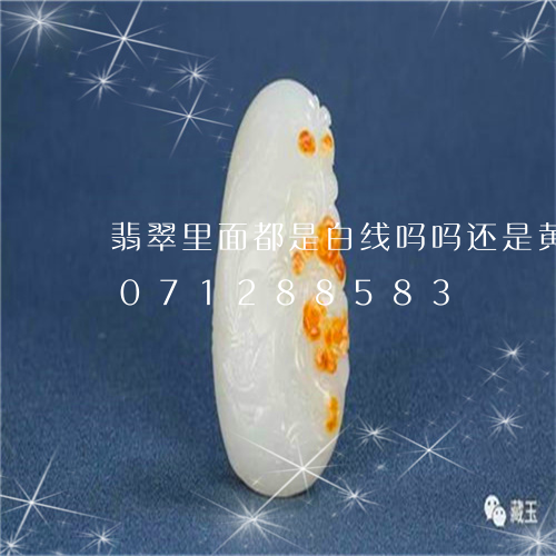 翡翠里面都是白线吗吗还是黄线/2023071288583