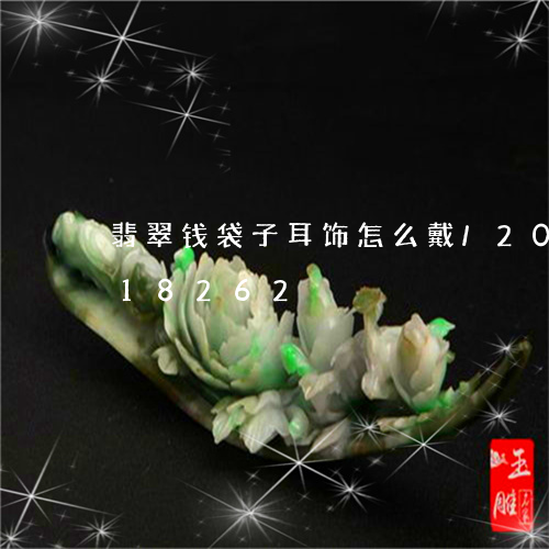 翡翠钱袋子耳饰怎么戴/2023112318262