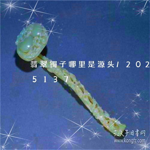 翡翠镯子哪里是源头/2023120405137