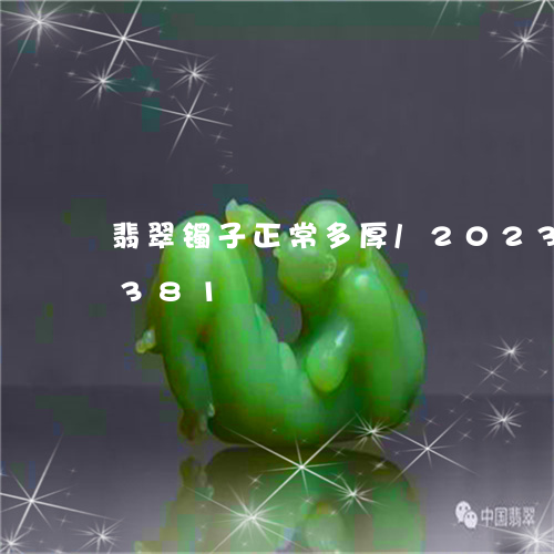 翡翠镯子正常多厚/2023032965381