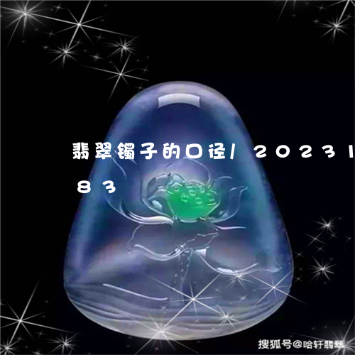 翡翠镯子的口径/2023100549383