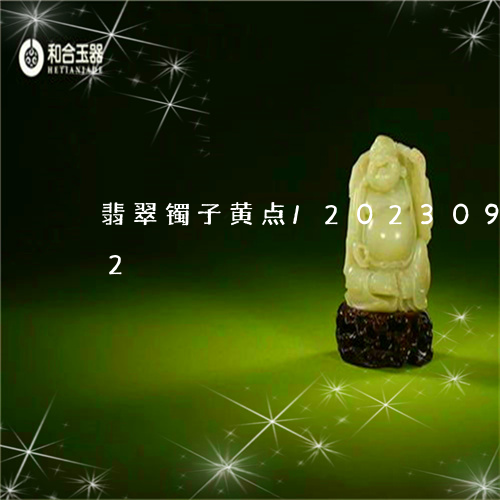 翡翠镯子黄点/2023092247382