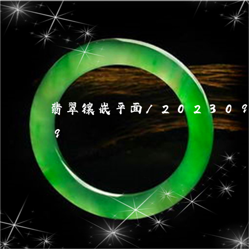 翡翠镶嵌平面/2023092217249