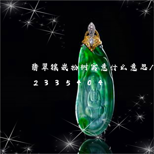 翡翠镶嵌松树寓意什么意思/2023072335404