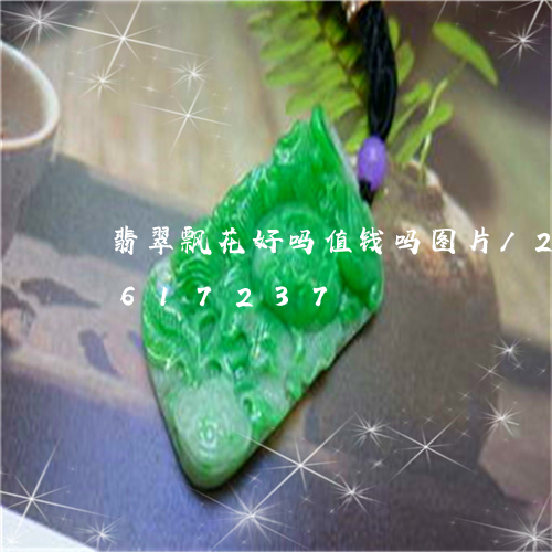 翡翠飘花好吗值钱吗图片/2023111617237