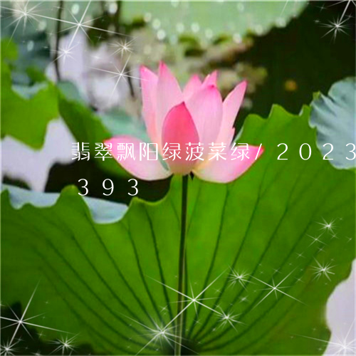 翡翠飘阳绿菠菜绿/2023102426393