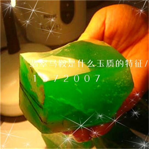 翡翠马鞍是什么玉质的特征/2023031572007