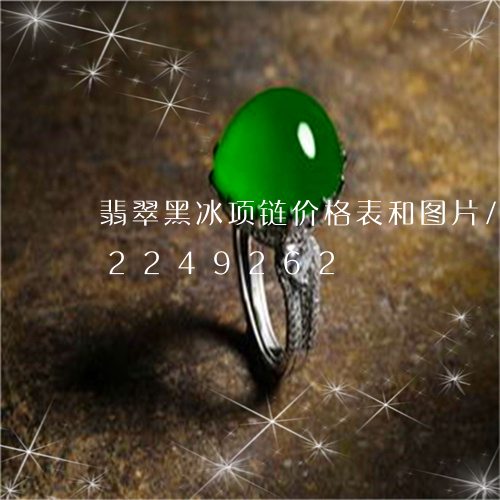 翡翠黑冰项链价格表和图片/2023072249262