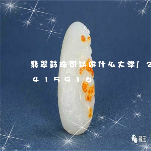 翡翠鼓珠可以做什么大学/2023072415916