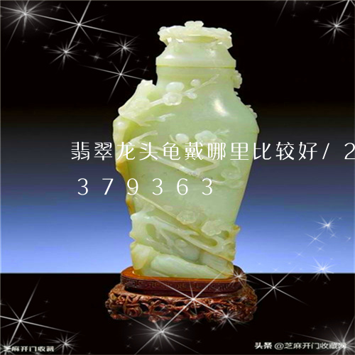 翡翠龙头龟戴哪里比较好/2023072379363