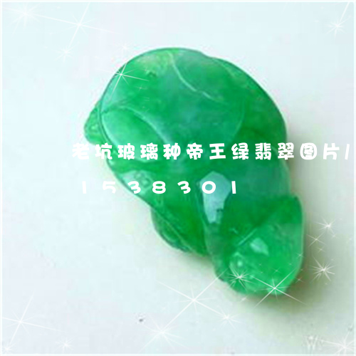 老坑玻璃种帝王绿翡翠图片/2023031538301