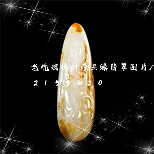 老坑玻璃种帝王绿翡翠图片/2023072154820