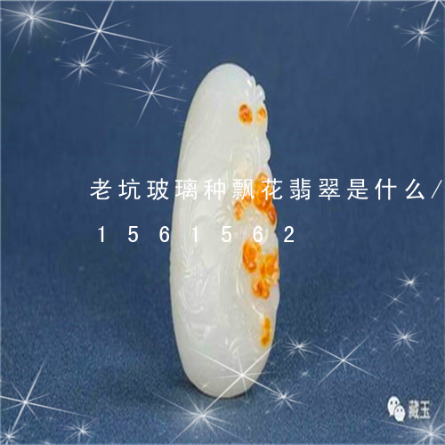 老坑玻璃种飘花翡翠是什么/2023031561562