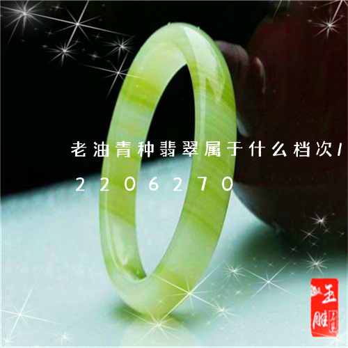 老油青种翡翠属于什么档次/2023072206270