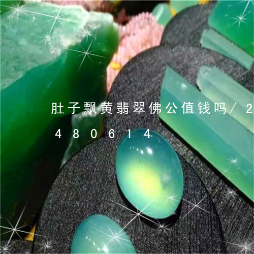 肚子飘黄翡翠佛公值钱吗/2023072480614