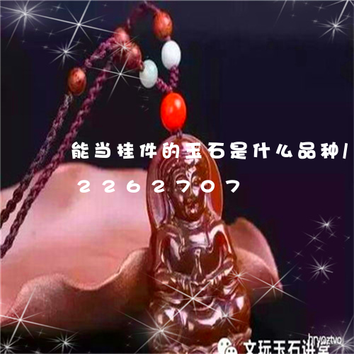 能当挂件的玉石是什么品种/2023072262707