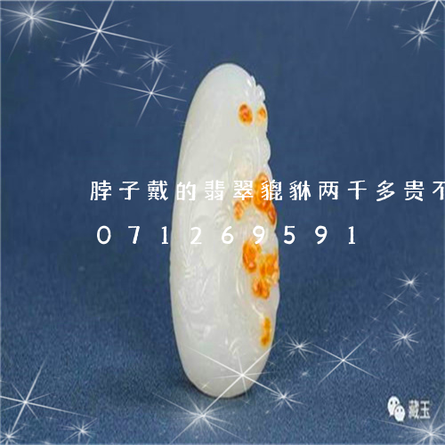 脖子戴的翡翠貔貅两千多贵不贵/2023071269591