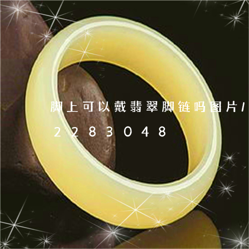 脚上可以戴翡翠脚链吗图片/2023072283048