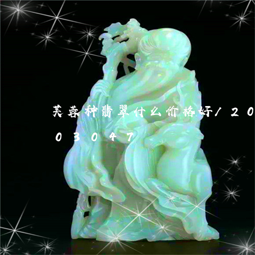 芙蓉种翡翠什么价格好/2023112403047