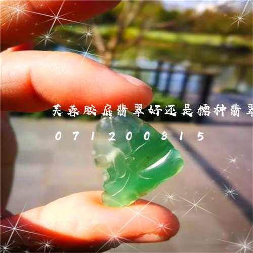 芙蓉胶底翡翠好还是糯种翡翠好/2023071200815