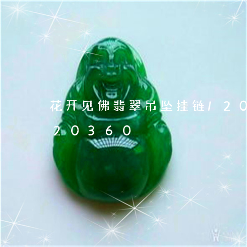 花开见佛翡翠吊坠挂链/2023092920360