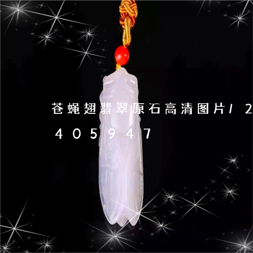 苍蝇翅翡翠原石高清图片/2023072405947