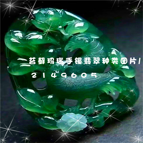 苔藓玛瑙手镯翡翠种类图片/2023072149605