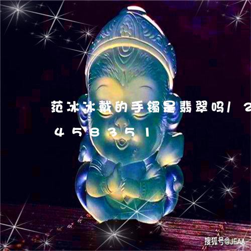 范冰冰戴的手镯是翡翠吗/2023072458351