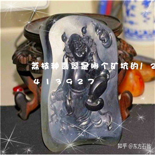 荔枝种翡翠是哪个矿坑的/2023112413927