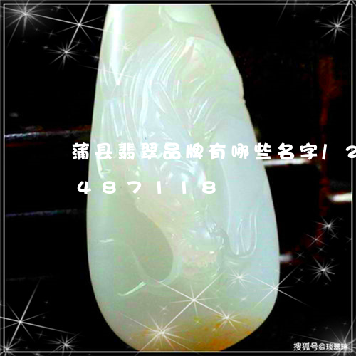 蒲县翡翠品牌有哪些名字/2023072487118