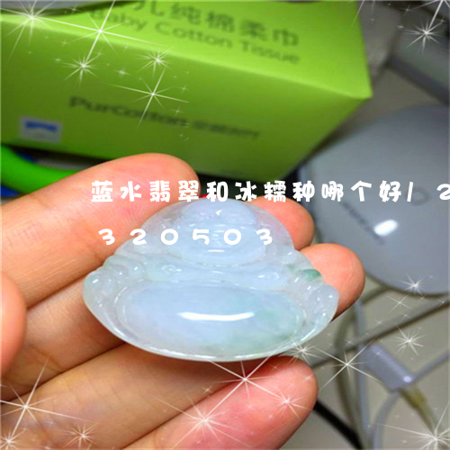 蓝水翡翠和冰糯种哪个好/2023072320503