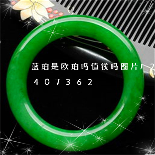 蓝珀是欧珀吗值钱吗图片/2023111407362